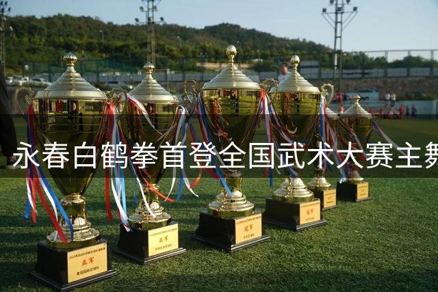 永春白鹤拳首登全国武术大赛主舞台 千年拳法引全球武林高手朝圣