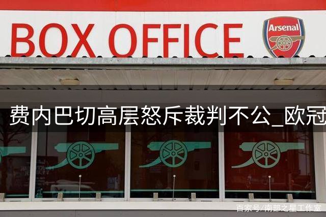费内巴切高层怒斥裁判不公 欧冠备战受影响